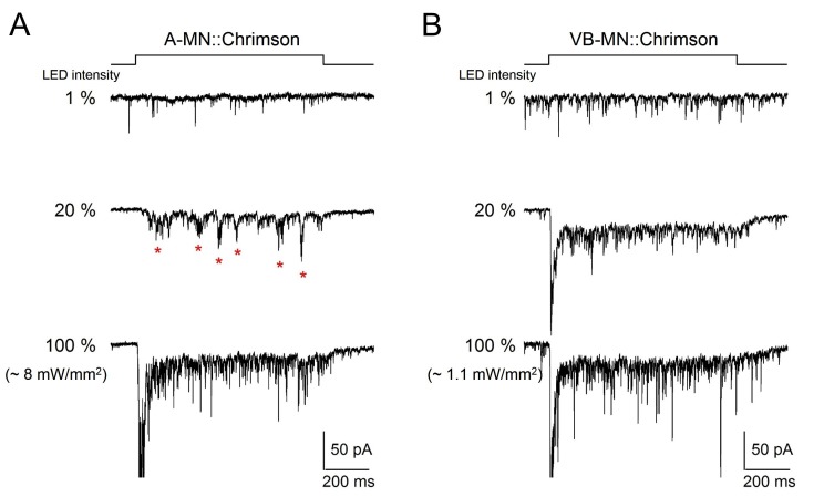 Figure 4—figure supplement 2.