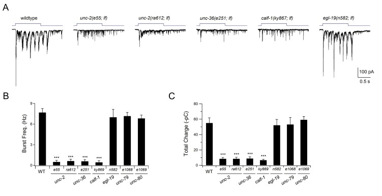 Figure 7—figure supplement 1.