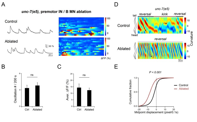 Figure 9—figure supplement 1.