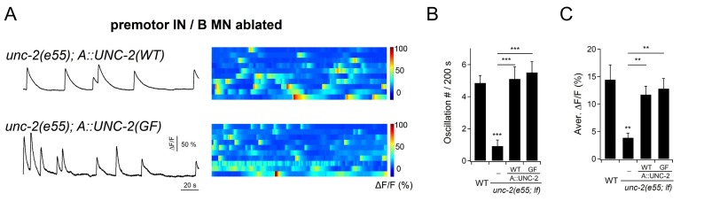 Figure 7—figure supplement 2.