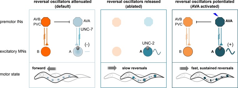 Figure 10.