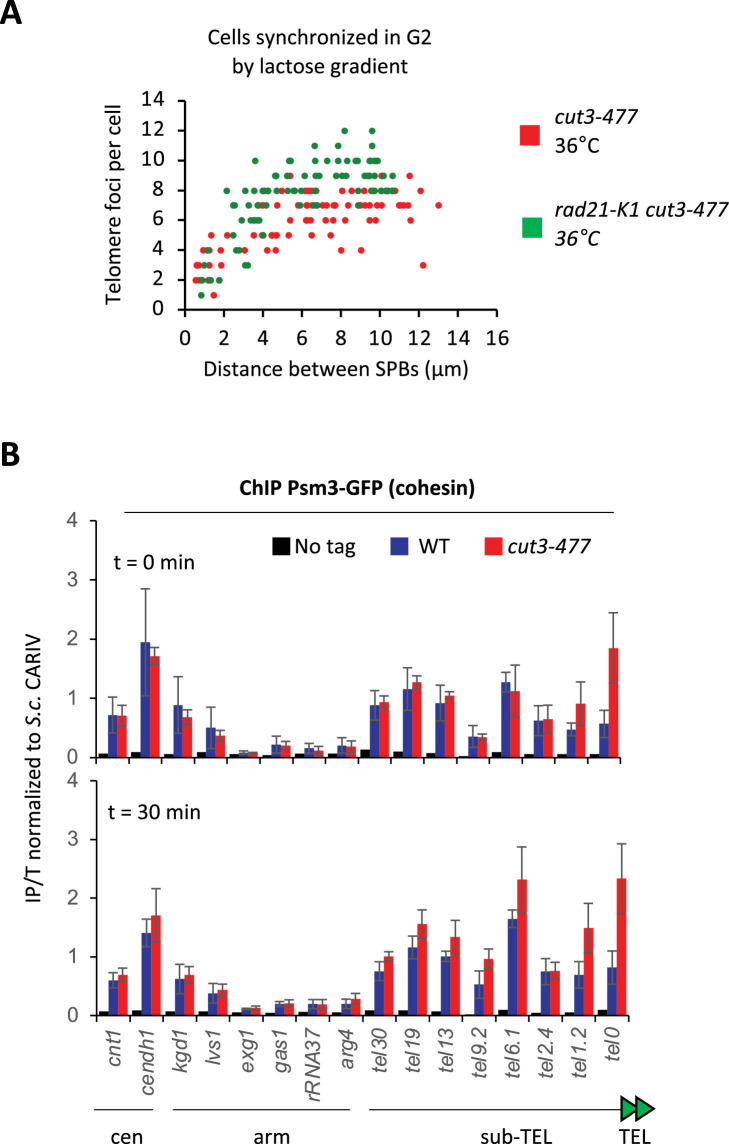 Figure 6—figure supplement 1.