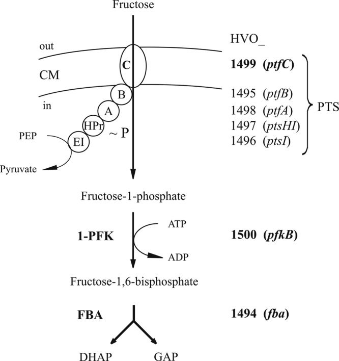 Fig 4