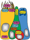 Fig. 11