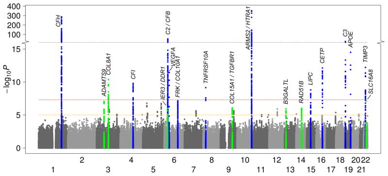 FIGURE 1