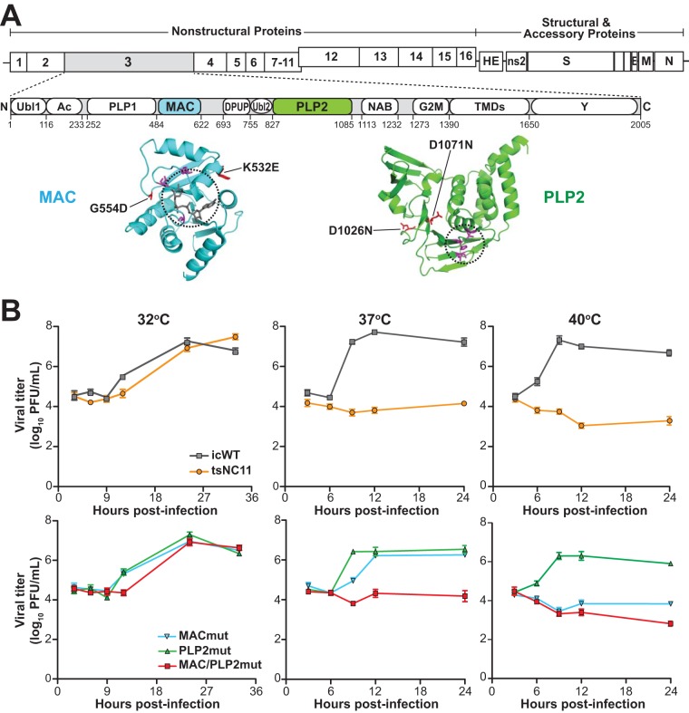 FIG 1