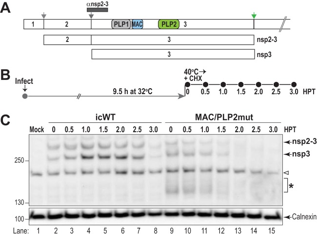 FIG 6