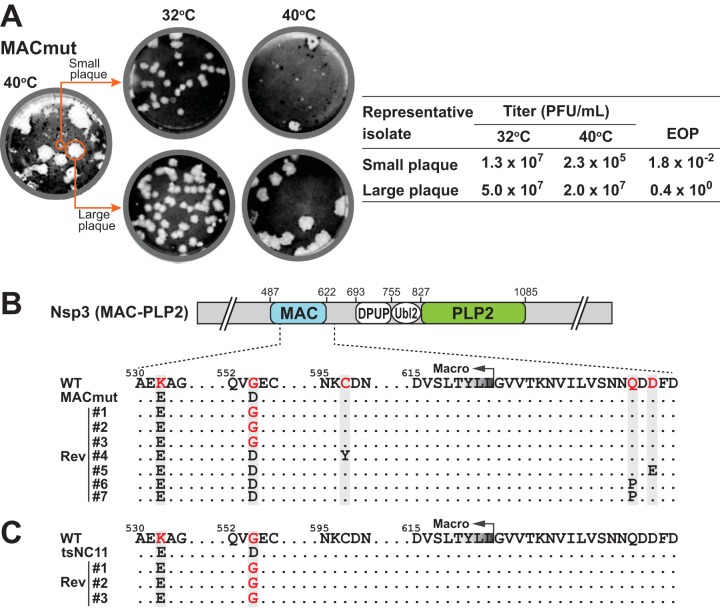 FIG 3