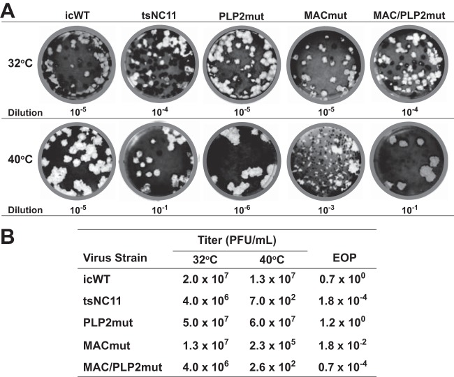 FIG 2