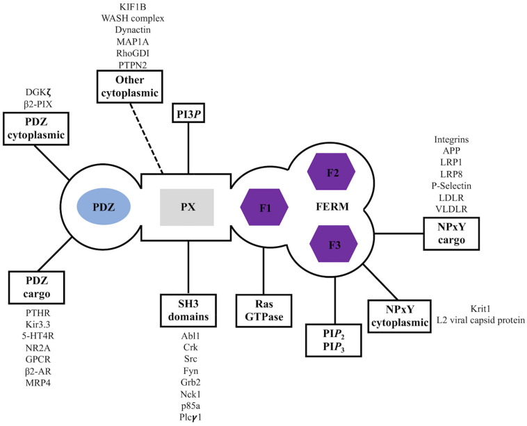 FIGURE 3