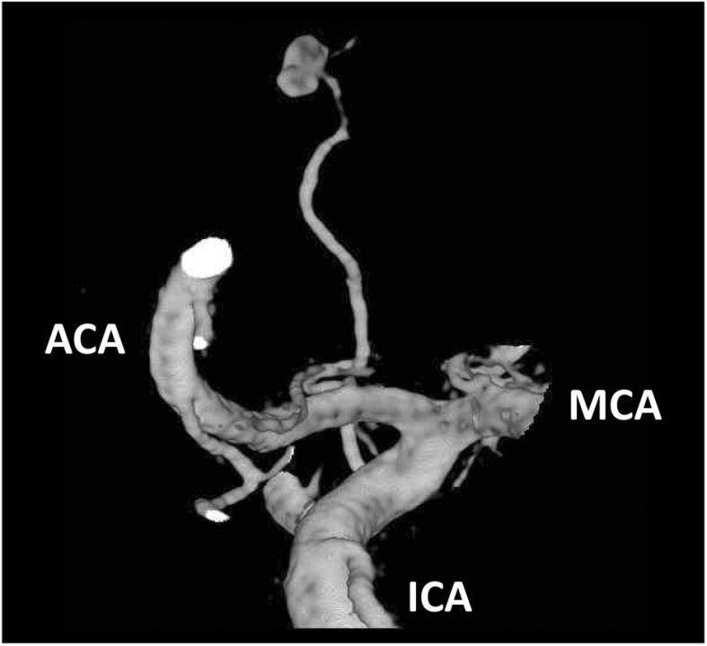 Fig. 4