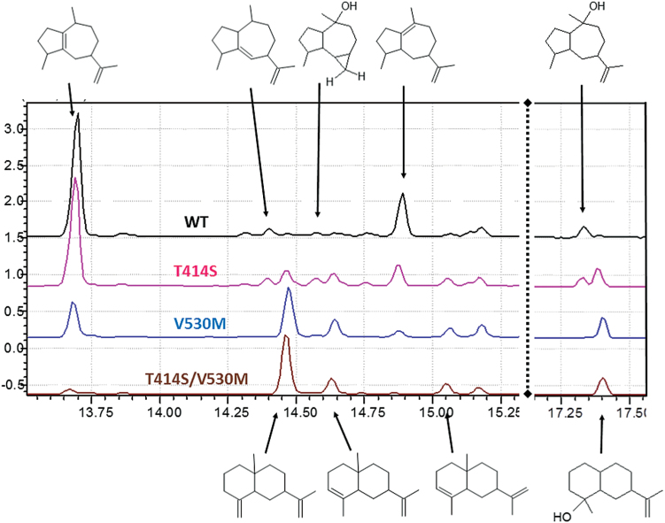 Fig. 3.