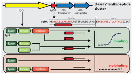 graphic file with name nihms958700u1.jpg