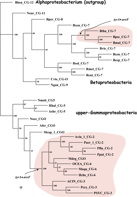 FIG. 7.