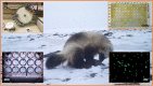 Unlabelled Image