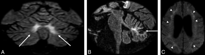 Fig 1.