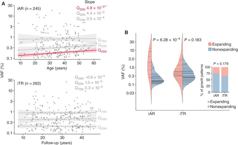 Figure 4. Dynamics of inferred age- versus therapy-related CH. A, VAF distribution along age for iAR and along follow-up for iTR. Longitudinal trend was estimated by quantile regression on VAF quartiles: Q25th (lower 25%), Q50th (median), and Q75th (upper 25%). Estimated slopes are shown. **, P < 0.005. B, Association between clone size and subsequent expansion revealed by serial analysis. For each serial sample pair, clone fate was classified as expanding, or nonexpanding based on the statistical test. The proportion of the expanding fate did not differ between iAR and iTR (inset, Fisher exact P = 0.179). Log-transformed VAFs at the earlier time point were compared by the t test between expanding and nonexpanding fates. Horizontal lines in the violin represent the VAF (log scale) observed at the initial time point.