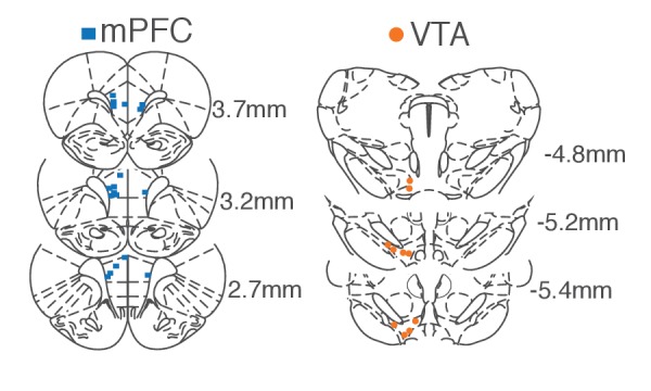 Figure 2—figure supplement 1.