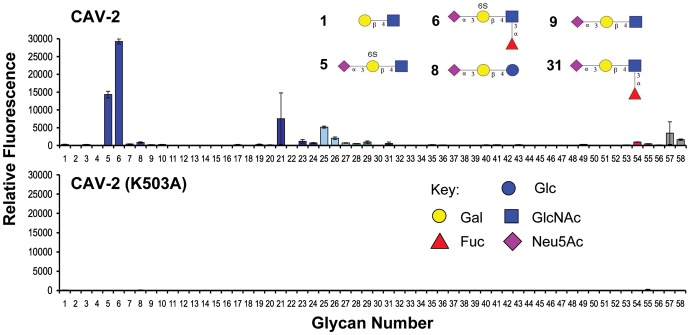 Fig. 2.