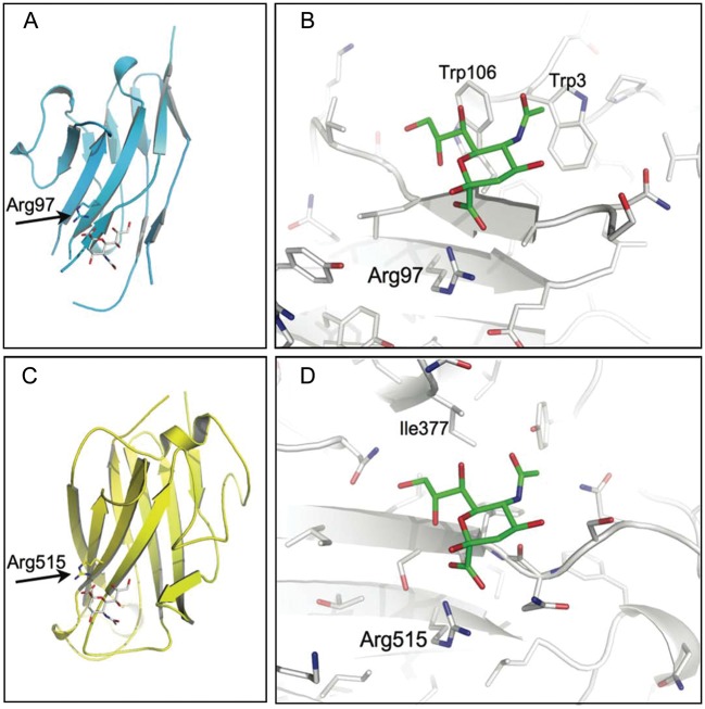 Fig. 1.