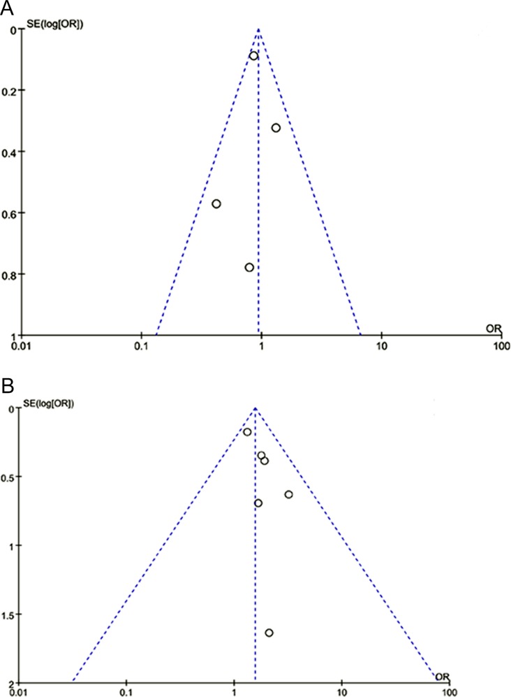 Fig 5