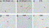 Fig. 7.3