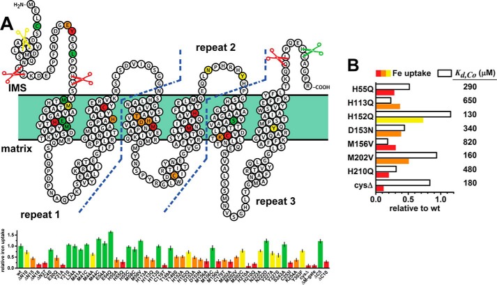 Figure 5.