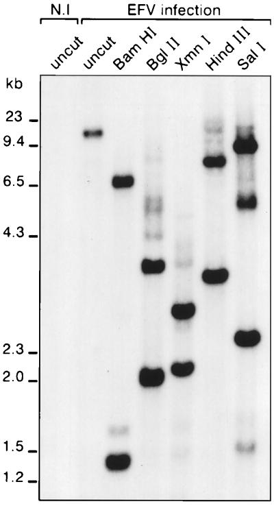 FIG. 6