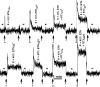F<sc>igure</sc> 4.