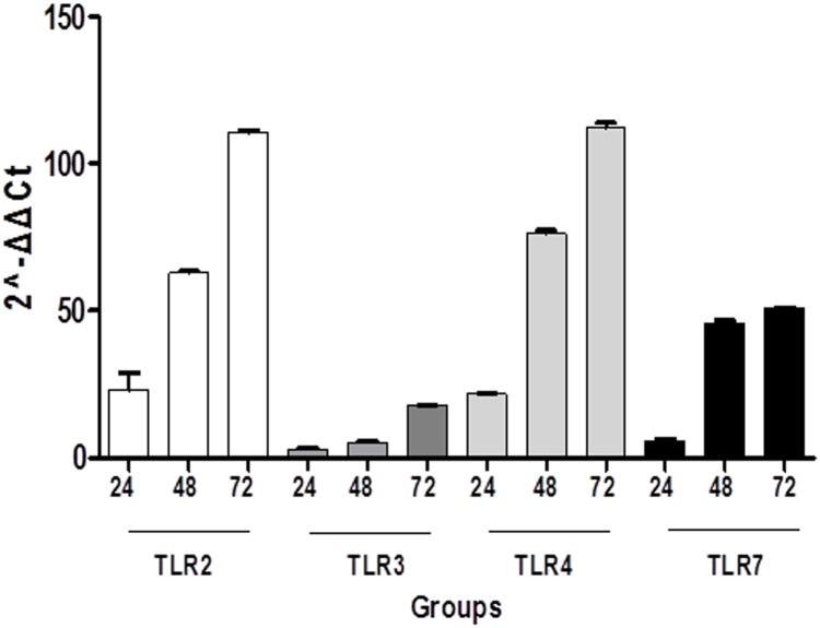 Fig 3