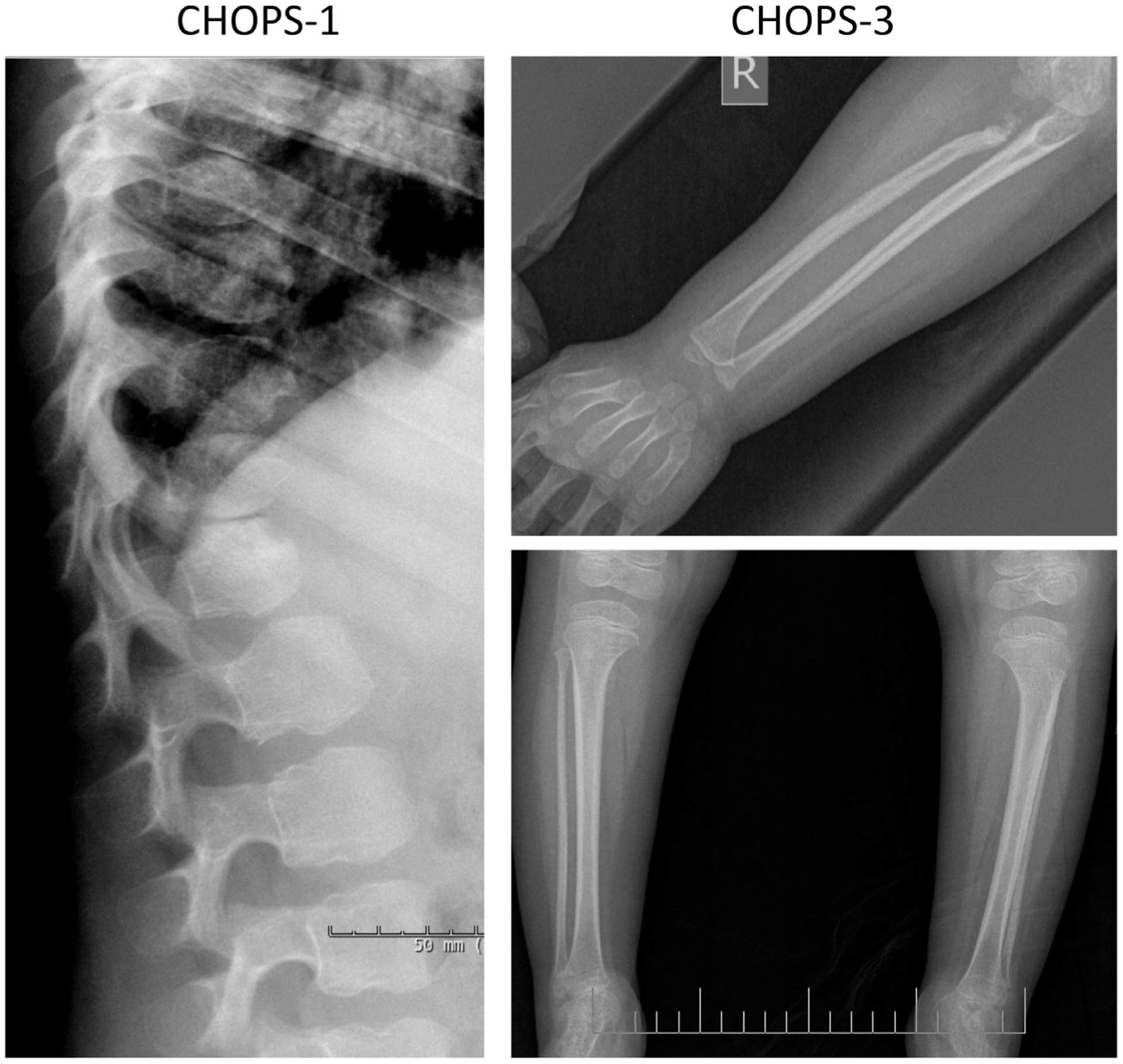 FIGURE 3