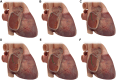Figure 9