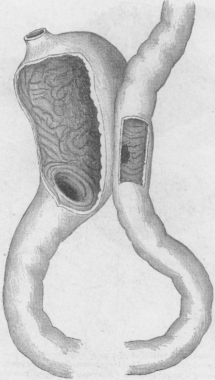 Fig. 40