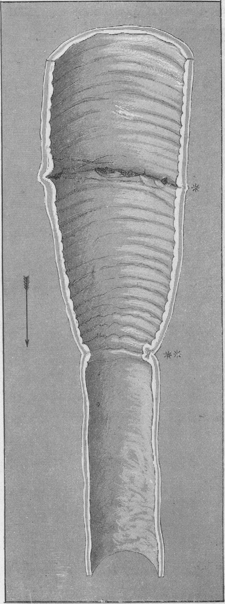 Fig. 47