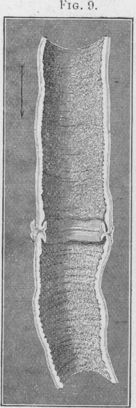 Fig. 9