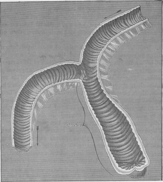 Fig. 16