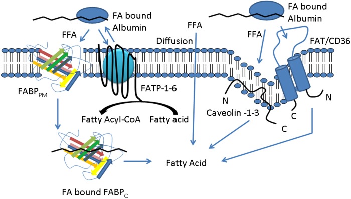 Fig. 2.