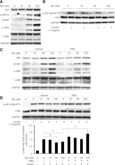 FIG. 8.