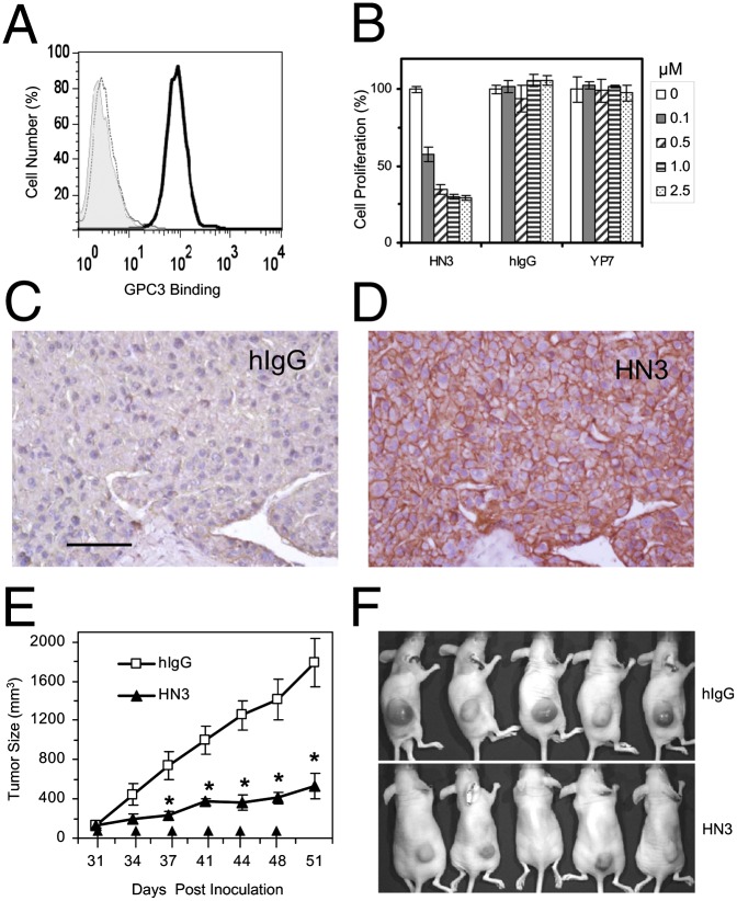 Fig. P1.