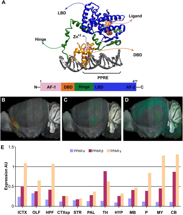 FIGURE 3