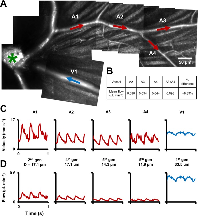 Figure 9.