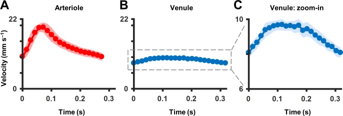 Figure 4—figure supplement 1.