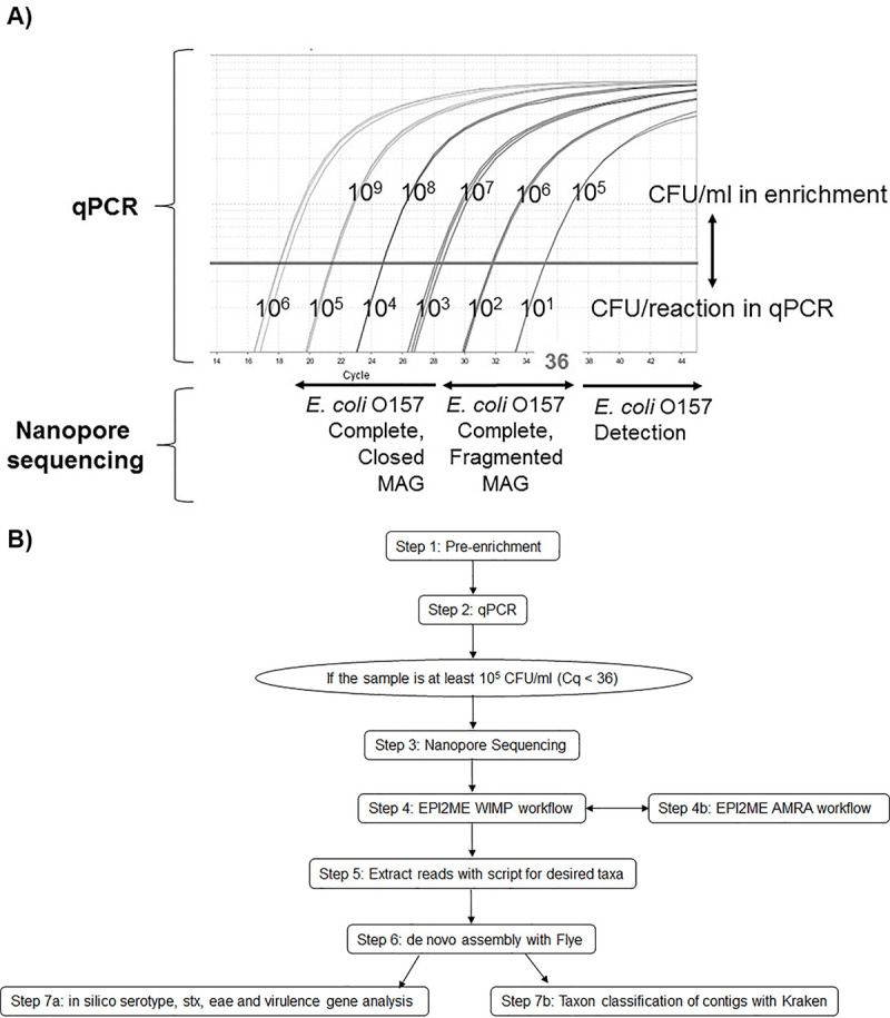 Fig 4