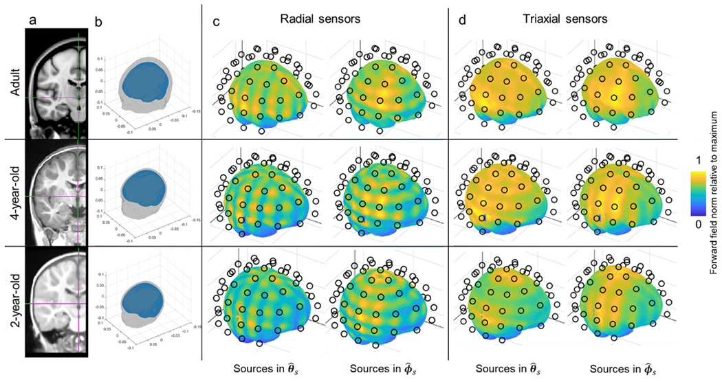 Fig. 7.