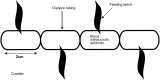 <b>FIG 1.</b>