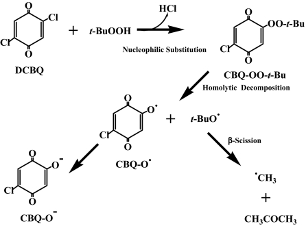 Scheme 1.