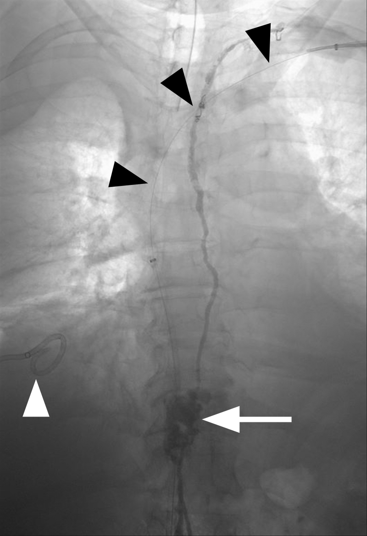 Fig 6