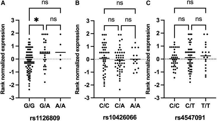 Figure 3