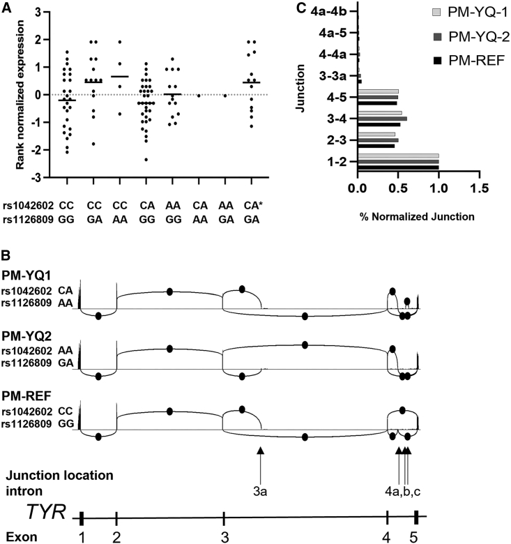 Figure 2