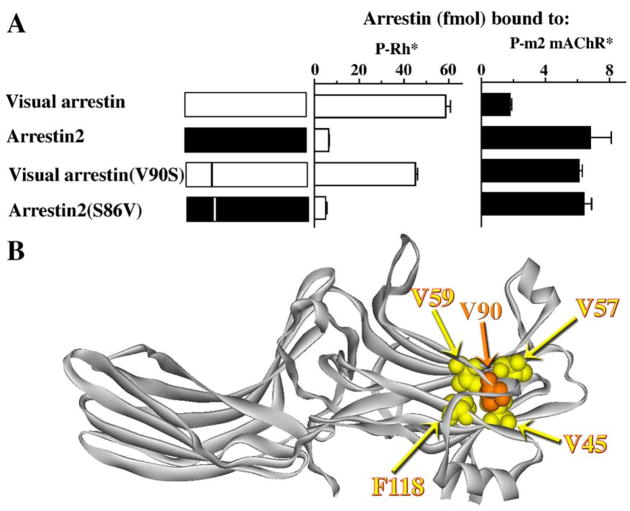 Fig. 13